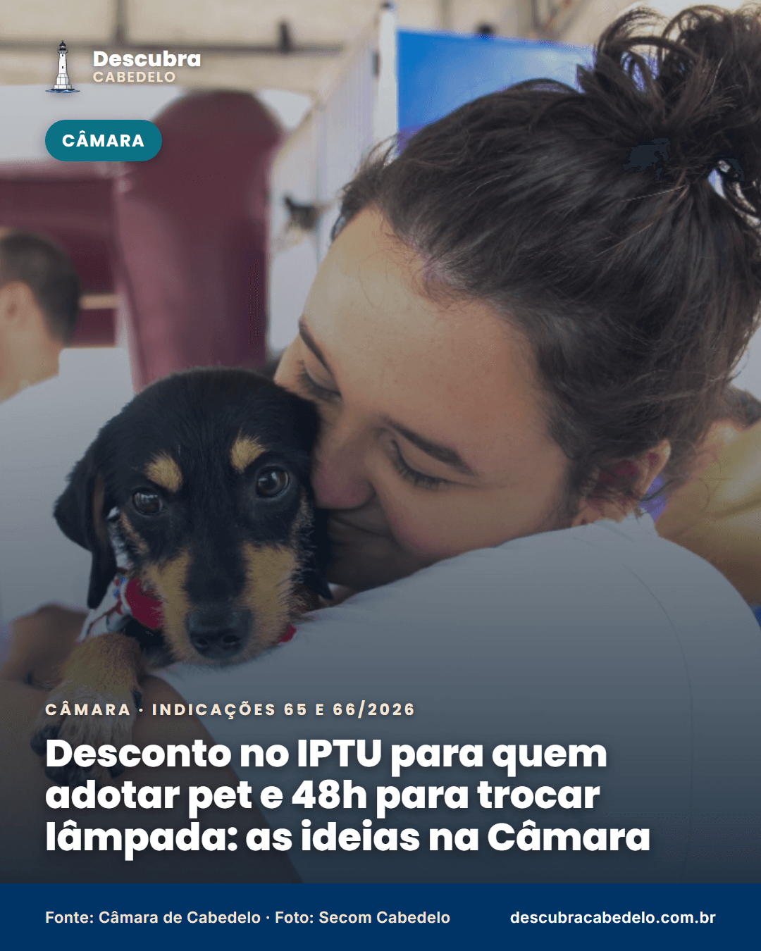 Vereadores sugerem desconto no IPTU para quem adotar animal de rua e prazo de 48 horas para consertar a iluminação pública